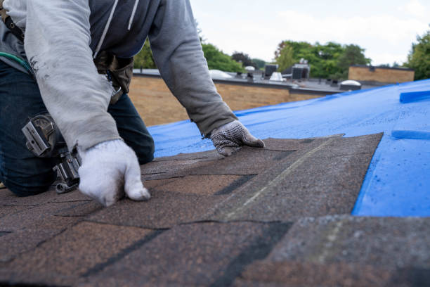 Best Roof Gutter Cleaning  in New Brighton, PA